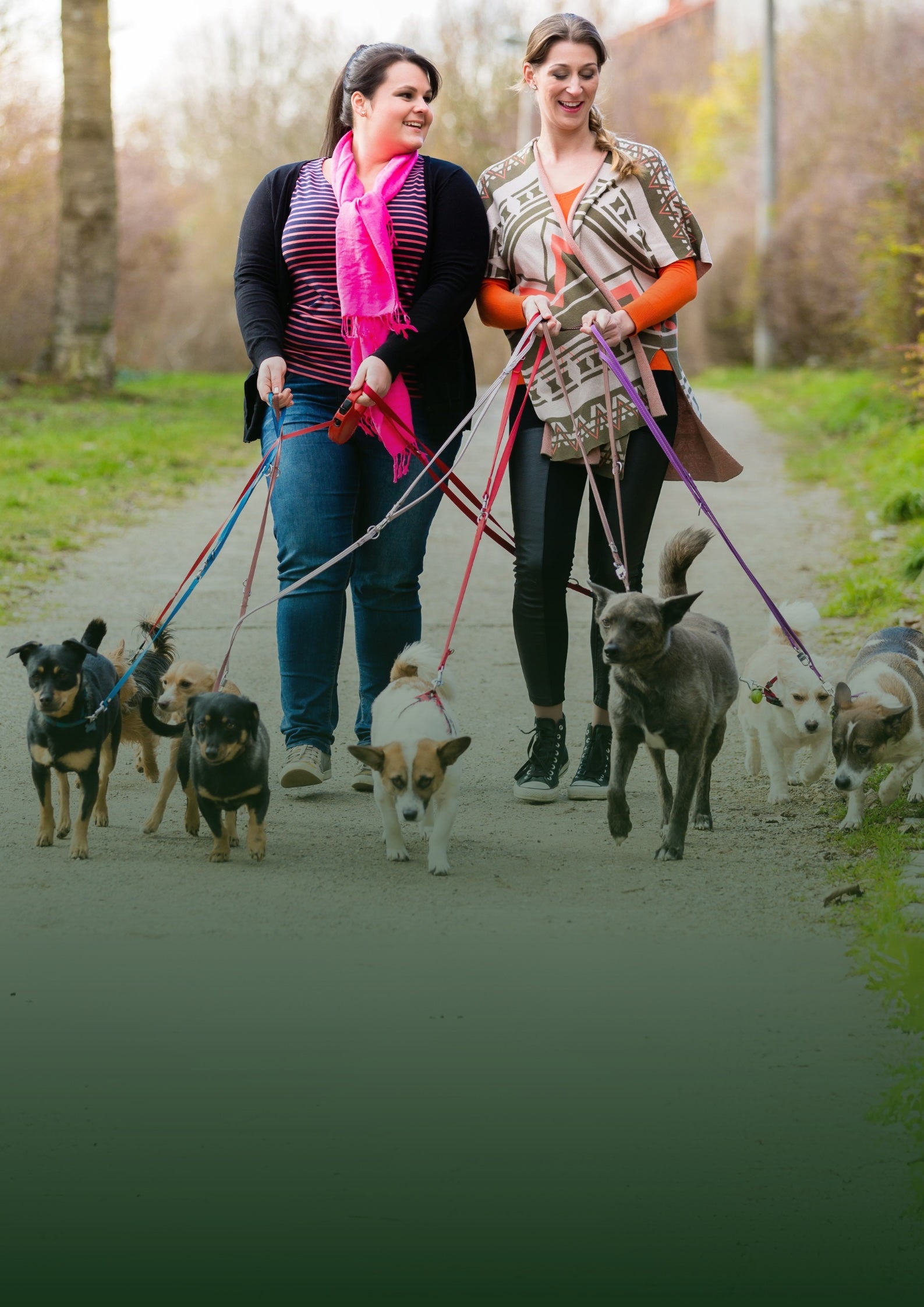 Girls walking the dog in the park